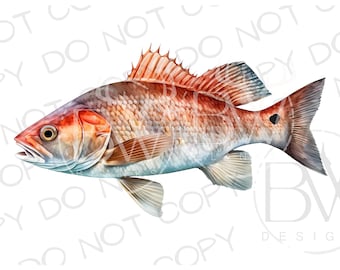 Redfish Sublimation PNG | Digital Download | Fishing Sublimation PNG | Saltwater Fishing PNG | Saltwater Sublimation png | Redfish png