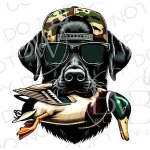 Cão de Caça Labrador PNG | Download digital | Sublimação PNG de Caça ao Pato | Sublimação de cão de caça png | Sublimação de caçador de pato png