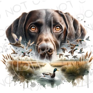 GSP Perro de caza PNG / Descarga digital / Sublimación de caza de patos PNG / Sublimación de perros de caza png / Sublimación de cazador de patos png