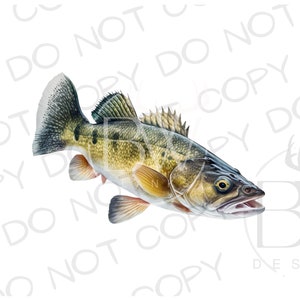 Walleye Sublimation PNG | Digital Download | Fishing Sublimation PNG | Walleye Fishing PNG | Walleye Fishing Sublimation png | Fisherman