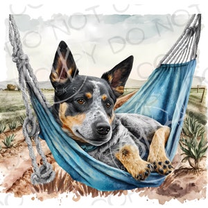 May include: A blue heeler dog with a blue and white speckled coat is relaxing in a blue hammock. The hammock is hanging between two trees in a field with green grass and brown dirt. The dog is looking at the camera with a happy expression.
