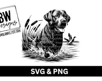 May include: Black and white illustration of a Labrador Retriever dog retrieving a duck in a marsh. The dog is in the water, with its head above the surface, and its mouth is open as if it is barking. The duck is in the dog's mouth. There are reeds and cattails in the background.