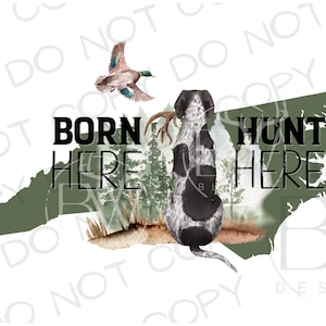 May include: A green outline of the state of North Carolina with a hunting dog sitting in the middle of the state. The dog is black and white with brown spots. The words "Born Here Hunt Here" are written in black text on the image. A duck is flying above the dog.