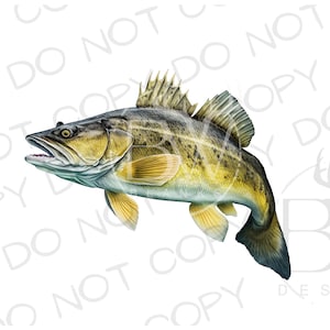 Walleye Sublimation PNG | Digital Download | Fishing Sublimation PNG | Walleye Fishing PNG | Walleye Fishing Sublimation png | Fisherman
