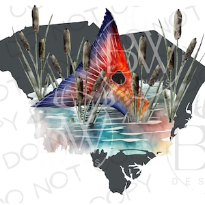 South Carolina Sublimation PNG | Digital Download | Fishing Sublimation PNG | Saltwater Fishing PNG | Saltwater Sublimation png | Redfish