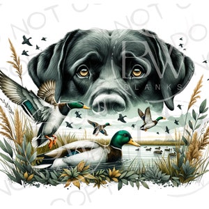 Perro de caza Labrador PNG / Descarga digital / Sublimación de caza de patos PNG / Sublimación de perros de caza png / Sublimación de cazador de patos png