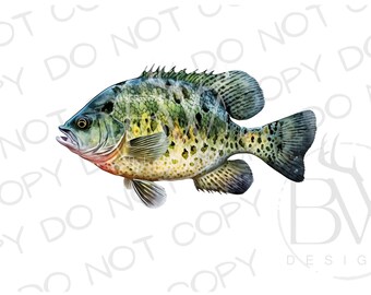 Heb een Crappie-dag PNG | Digitale download | Crappie visserij sublimatie PNG | Vissen sublimatie PNG | Cappie Fish Sublimatie png