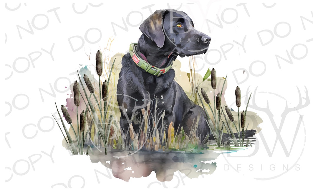 Black Labrador Sublimation PNG | Digital Download | Duck Hunting Dog ...