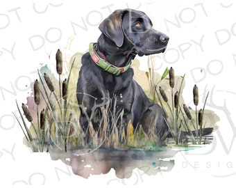 Zwarte Labrador sublimatie PNG | Digitale download | Eend jachthond sublimatie PNG | Zwart Lab PNG | Duck Hunter png | Jachthond png
