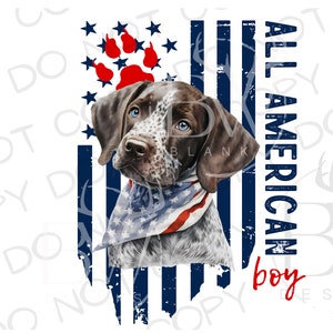 May include: A German Shorthaired Pointer puppy wearing a red, white, and blue bandana, with a paw print and stars in the background. The text "All American boy" is written vertically on the right side of the image.