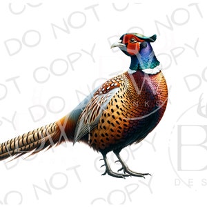 Fasan Jäger PNG | Fasan Jäger Sublimation PNG | Fasan Jagd Sublimation png | Ringhals Fasan Sublimation png | Jagdhund