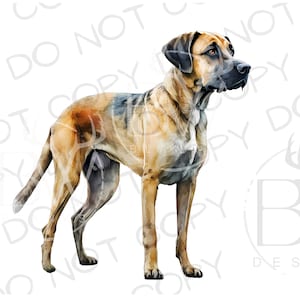 Schwarzer Mund Cur Sublimation PNG | Digitaler Download | Jagdhund Sublimation PNG | Schwarzer Mund Cur PNG | Jagd Sublimation png