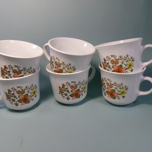 Set of Six Vintage Corelle by Corning Cups with Indian Summer Pattern