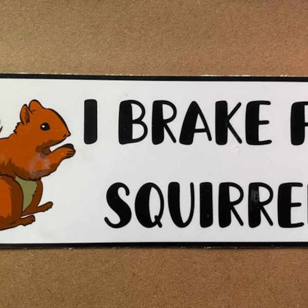 I Brake For Squirrels Bumper Sticker