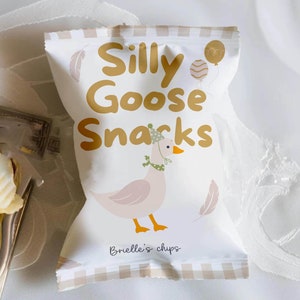 May include: A white bag of chips with a cartoon goose wearing a party hat and the text "Silly Goose Snacks" and "Brielle's chips".