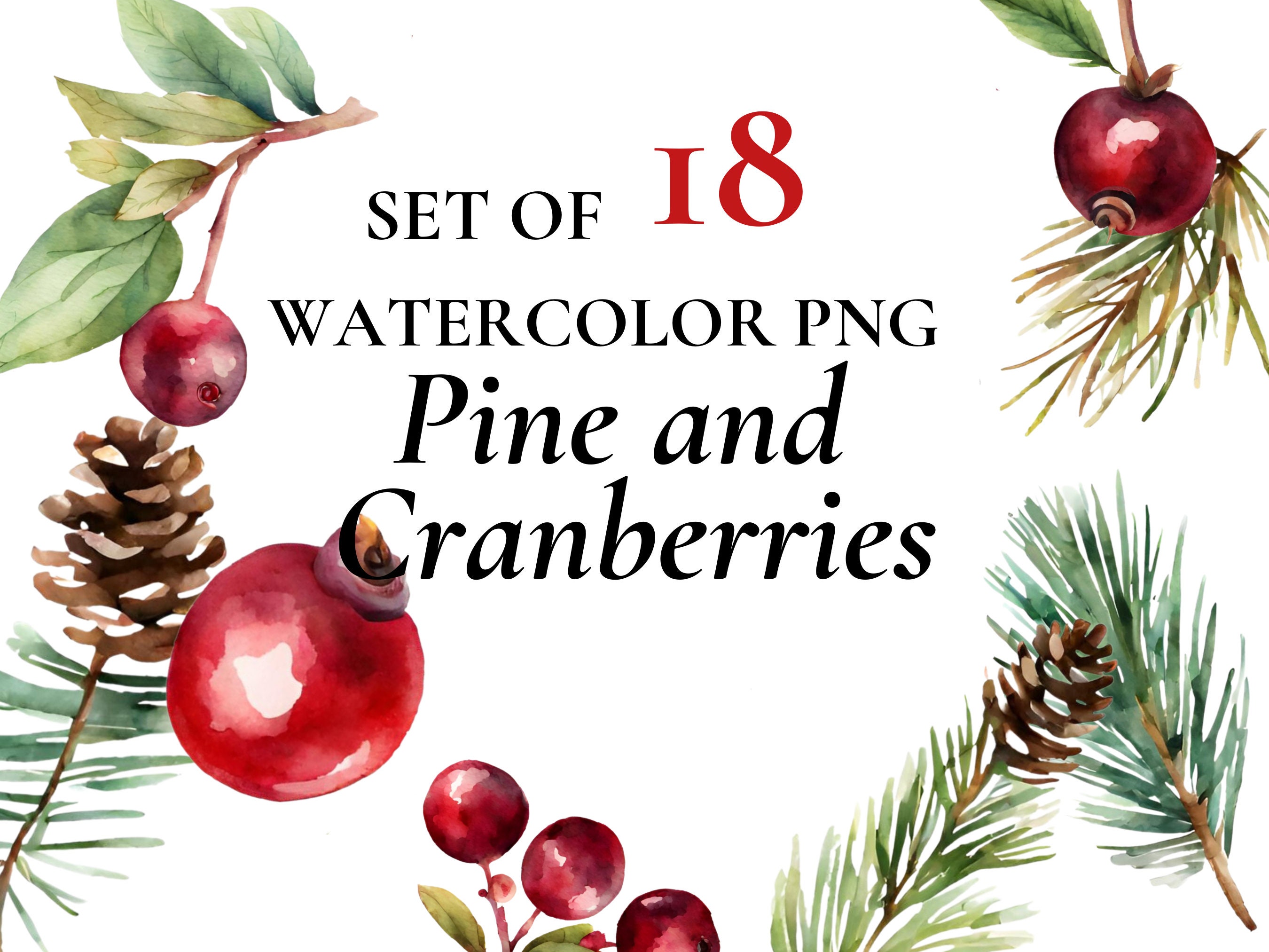 Cranberry Stickers (1/2 each), Seasonal Planner Stickers, Holiday and  Winter Stickers, Seasonal Stickers for Planners, Calendars and more