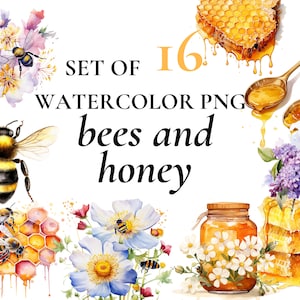16 bij: png | aquarel honing clipart| bijen clipart