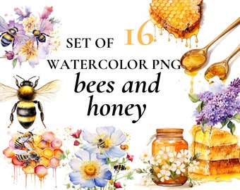 16 Bee png | watercolor honey clipart| bee clipart