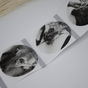 Etiketten Foto's | individueel | transparant | Stickers | sticker