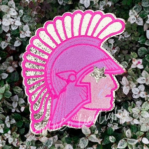 May include: A pink and gold glittered Spartan helmet design. The helmet features a profile of a face with a star on the forehead. The design is set against a background of green foliage.