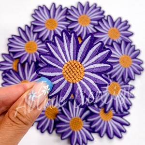 May include: A close-up of a purple and white daisy flower patch. The flower has a yellow center and is surrounded by other purple and white daisy flowers.