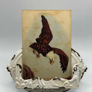 Bald eagle antieke handelskaart, continentale levensverzekering, jaren 1880, met metalen displaystandaard
