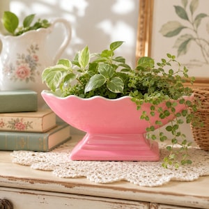 May include: A glossy pink ceramic planter with a scalloped rim and a rectangular pedestal base, filled with lush green foliage including variegated leaves and trailing vines, creating a vibrant contrast against the bright, smooth surface.