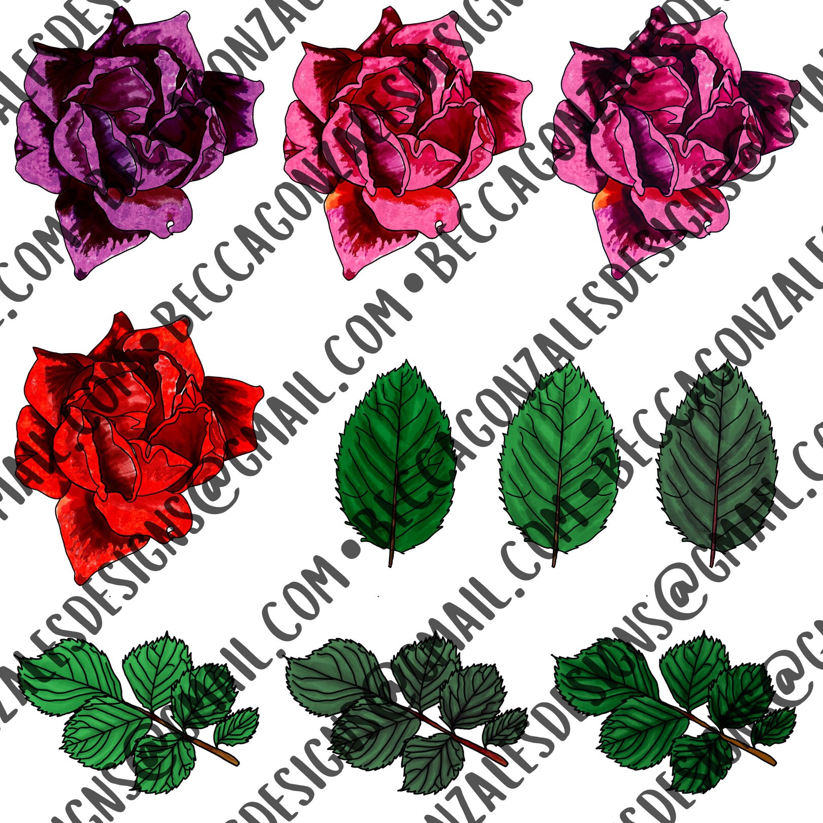 Roses - Hand Drawn - Etsy
