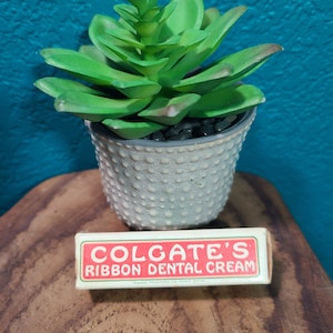 Vintage Colgate's Ribbon Mundcreme 1927