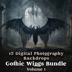Pacote de fundo digital de Halloween, fotografia de fundo com asas góticas, arte de sessão de fotos com asas de anjo escuro, sobreposição de Photoshop para maternidade de casamento