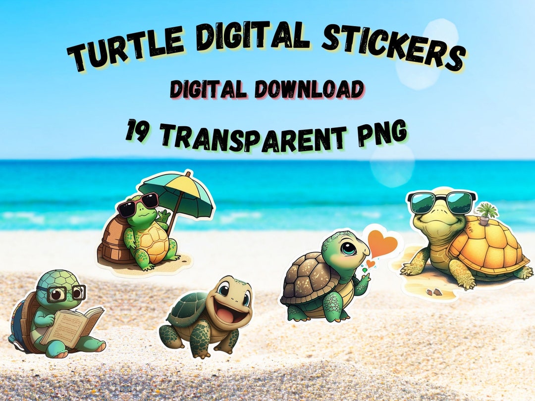 Turtle Digital Stickers, Transparent PNG Clipart (digital Download) - Etsy