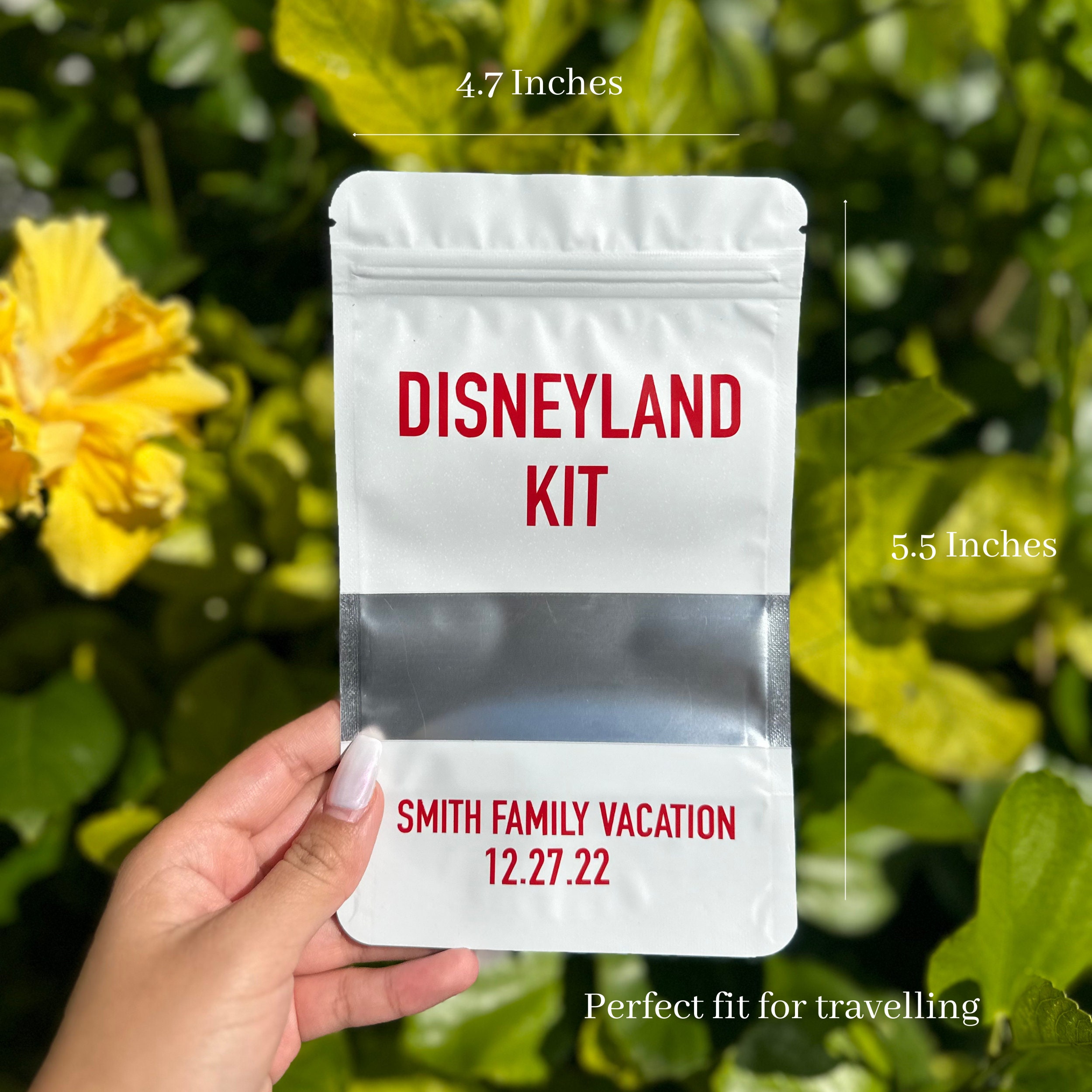 Disney Essentials Kit Custom Disneyworld Disneyland Must Etsy