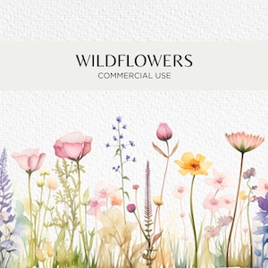 Wildblumen Aquarell Clipart, 20 transparente PNG 300 dpi, Blumenwiese, Pastell Wildblumen, Ränder, digitaler Download, kommerzielle Nutzung
