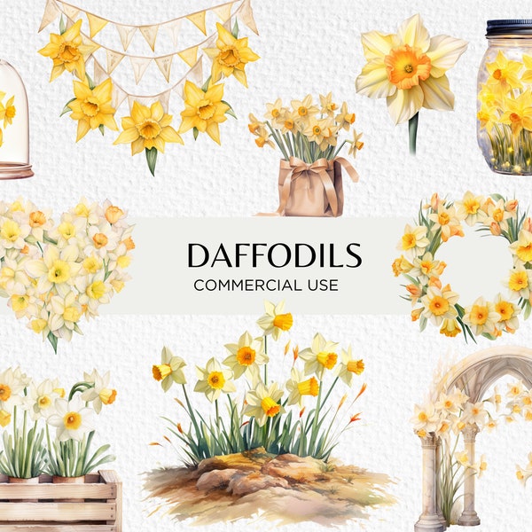 Narzissen Aquarell Clipart, 20 transparente PNG 300 dpi, süße Frühlingsblumen, Ostern, Frühling Junk Journal, digitaler Download kommerzielle Nutzung