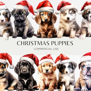 Niedliche Weihnachtswelpen mit Weihnachtsmützen Aquarell Clipart, 20 transparente PNG 300 dpi, Weihnachtswelpe, digitaler Download, kommerzielle Nutzung