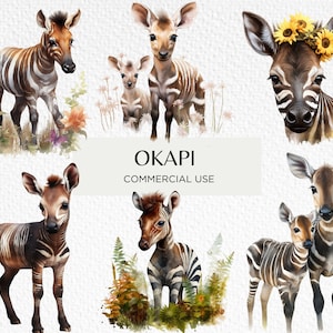 Aquarell Okapi Clipart Bundle, 18 Transparente isoliert PNG 300 dpi, süßes glückliches Baby Okapis mit Blumen, digitaler Download, kommerzielle Nutzung