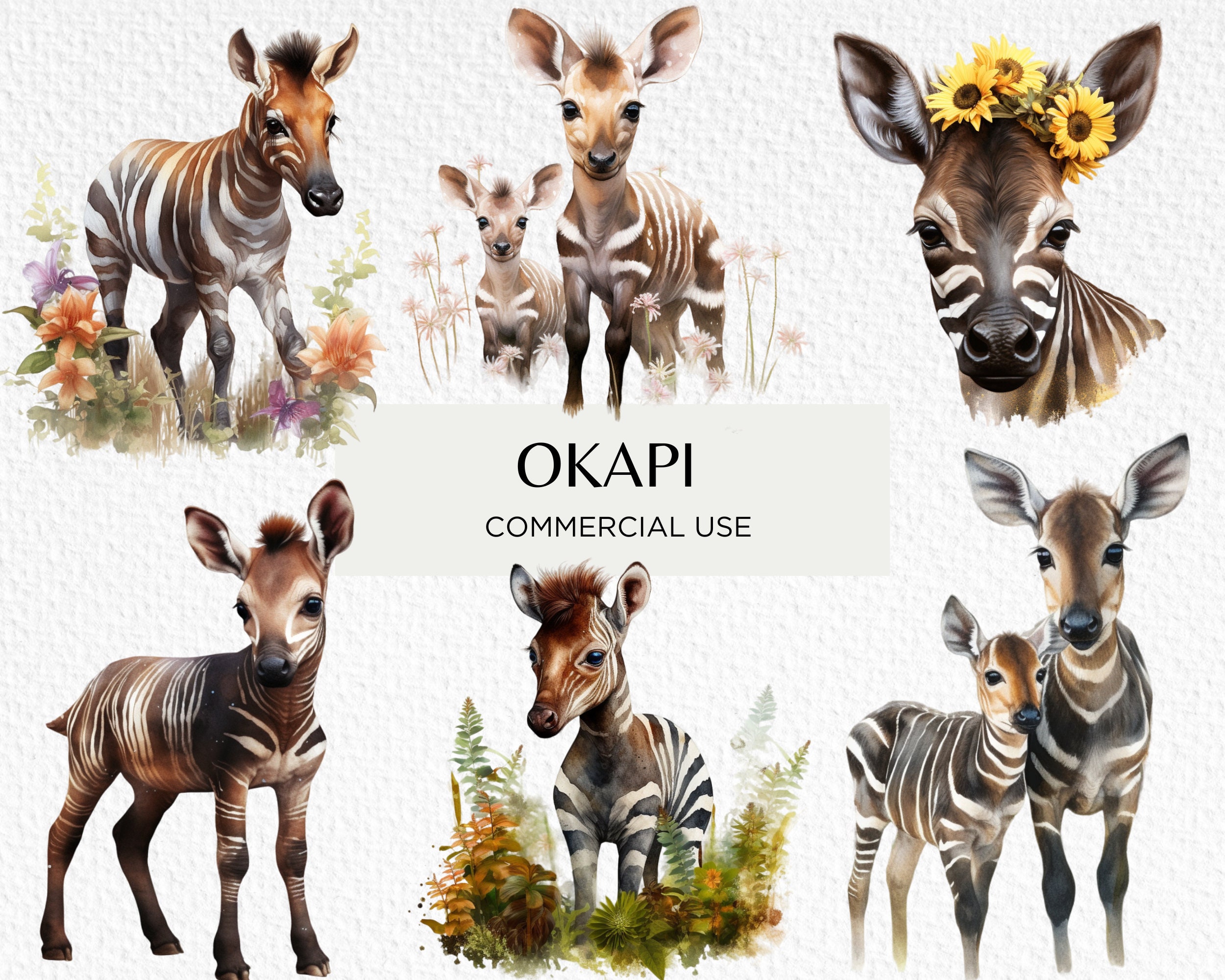 Okapi Small Pencil Bag or Okapi Eye Glasses Case From My Original Oil  Painting, New Hope 