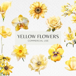 Fleurs jaunes Aquarelle Clipart Bundle, 20 PNG transparent 300 dpi, Tête de fleur pastel, Jardin floral, Téléchargement numérique. Un usage commercial