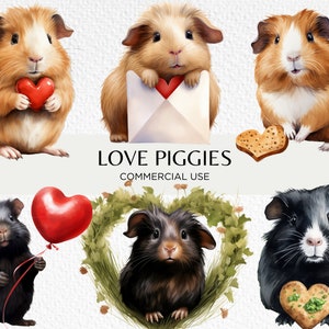 Amore Guinea Piggies Acquerello Clipart, 20 PNG trasparenti 300 dpi, Cute Valentines Guinea Piggies, Cavies, Download digitale, Uso commerciale