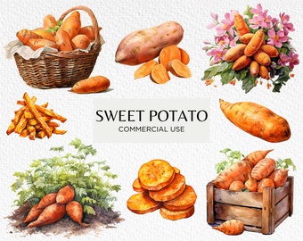 Sweet Potato Watercolour Clipart Bundle, 10 Transparent PNG 300 dpi, Root Veggies, Potatoes, Kitchen Garden, Digital Download Commercial Use