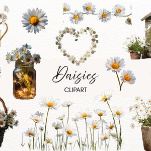 May include: Watercolor clipart featuring daisies in various arrangements. Includes daisies in a watering can, mason jar, basket, and a heart-shaped arrangement. Also features a small wooden house with daisies and individual daisy flowers.