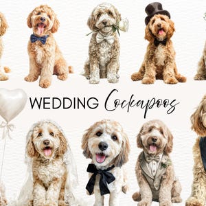 Pode incluir: Ilustração em aquarela de vários cães Cockapoo vestidos para um casamento. Alguns cães usam gravatas borboleta, cartola, véu e coroa de flores. O texto "WEDDING Cockapoos" é exibido no centro.
