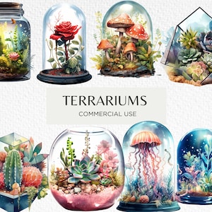 Aquarell Terrarien Clipart Bundle, 20 transparente PNG 300 dpi, Aquarell Kaktus Sukkulenten Terrarium, digitaler Download, kommerzielle Nutzung