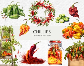 Chillies Aquarell Clipart Bundle, 16 transparente PNG 300 dpi, Chilischoten, Chilipflanze, Chilisauce, digitaler Download, kommerzielle Nutzung