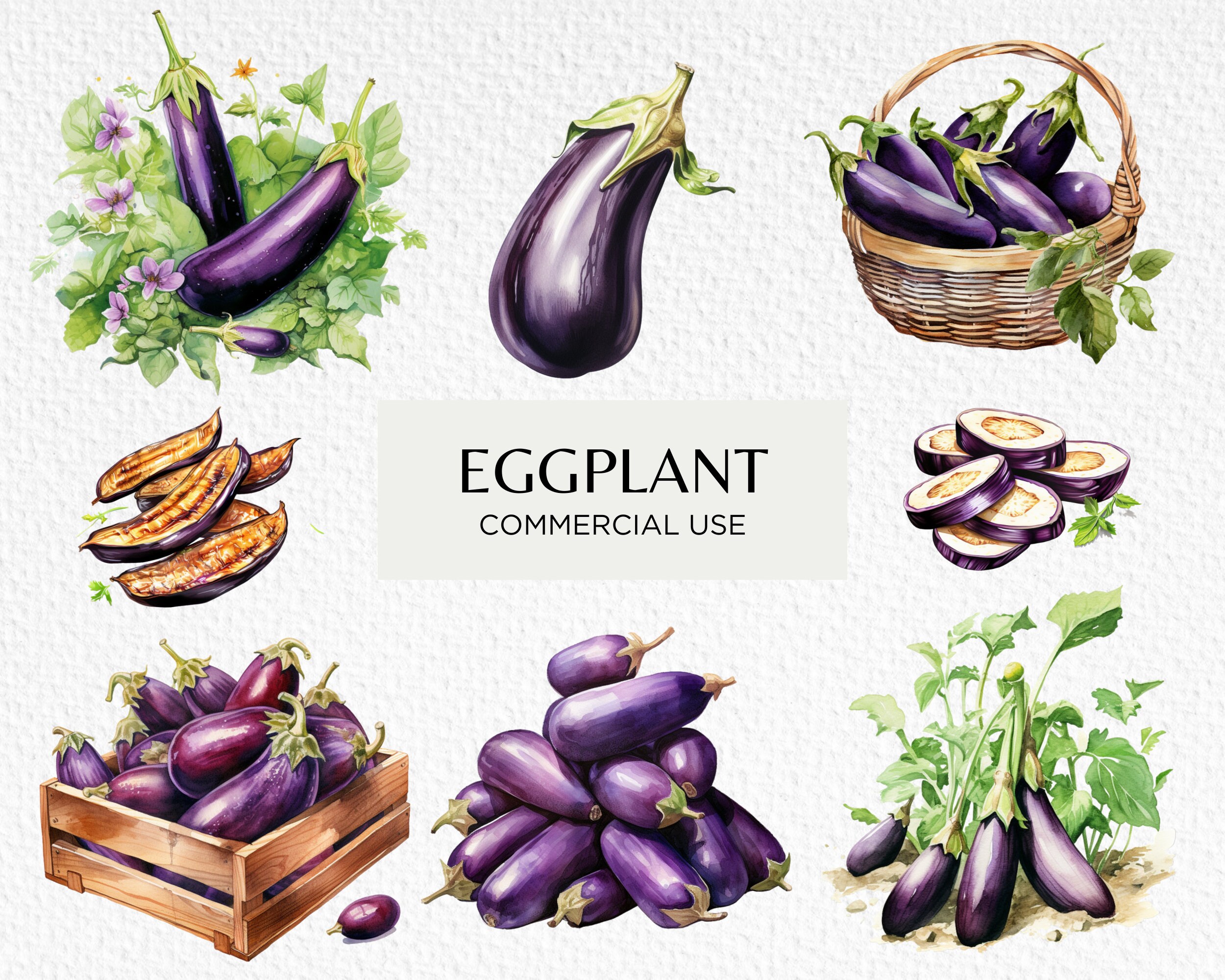 Eggplant Watercolour Clipart Bundle, 10 Transparent PNG 300 dpi, Aubergine, Vegan Kitchen Garden Veggies, Digital Download, Commercial Use