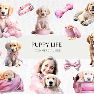 Pacote de clipart em aquarela de filhotes de Golden Retriever, 20 PNG transparentes 300 dpi, vida de cachorrinho, cachorrinhos fofos, download digital, uso comercial