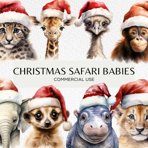 Weihnachten Safari Babys Clipart, 20 transparente PNG 300 dpi, süße afrikanische Tiere tragen Weihnachtsmützen, digitaler Download, kommerzielle Nutzung