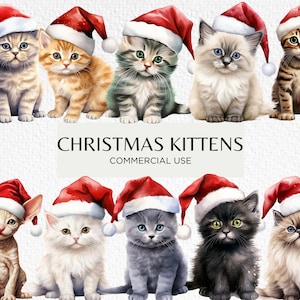 Niedliche Weihnachtskätzchen mit Weihnachtsmützen Aquarell Clipart, 20 transparente PNG 300 dpi, Weihnachtskätzchen, digitaler Download kommerzielle Nutzung