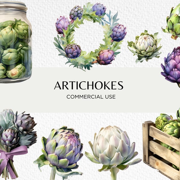 Artichokes Watercolour Clipart Bundle, 16 Transparent PNG 300 dpi, Artichoke Hearts, Cardoon, Edible Flower, Digital Download Commercial Use