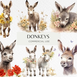 Aquarell glückliche Esel Clipart Bundle, 18 transparente isolierte PNG 300 dpi, süße Baby Esel, Blumen, digitaler Download, kommerzielle Nutzung
